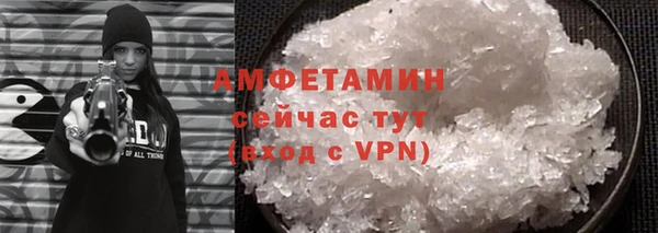 стаф Богданович