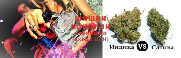 соль ск Бородино