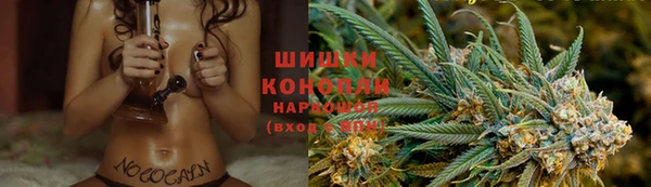 дживик Богородск