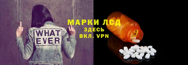 дживик Богородск