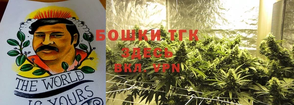 стаф Богданович