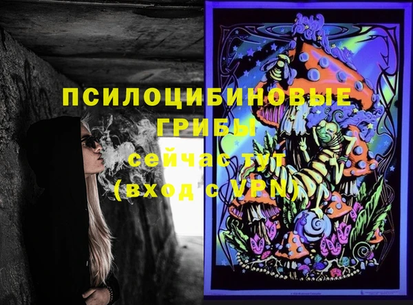 винт Богородицк