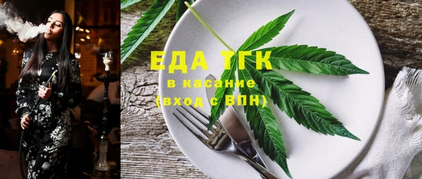 стаф Богданович