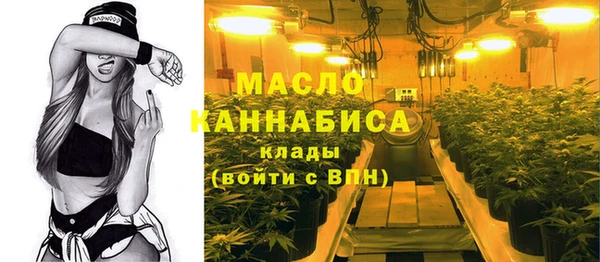 соль ск Бородино