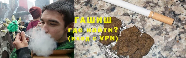стаф Богданович