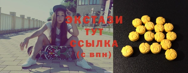 дживик Богородск