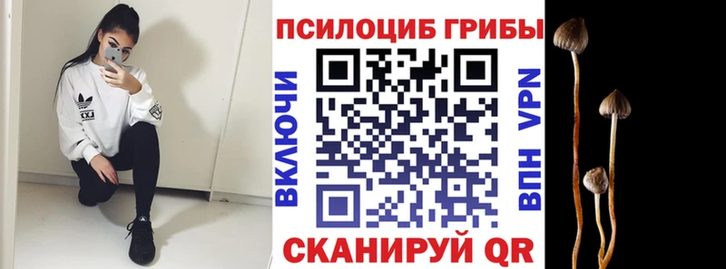 Галлюциногенные грибы Psilocybe  Отрадная 
